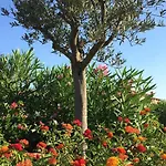 Apartamento Sea & Costa Smeralda Porto Cervo