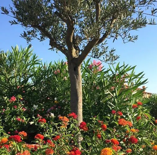 Апартаменты Sea & Costa Smeralda Порто-Черво